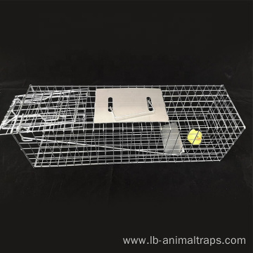 Squirrel Trap Steel Rabbit Trap Cage